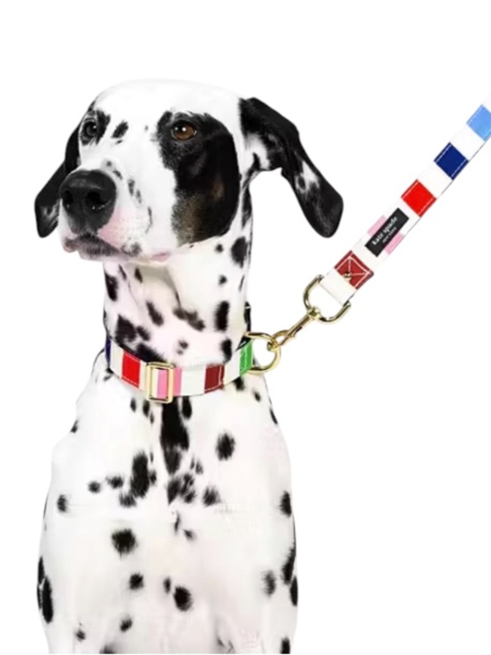 KATE SPADE➕NWT Adventure Stripe Collar